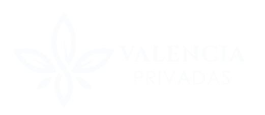 Logo de valencia